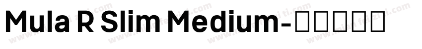 Mula R Slim Medium字体转换
